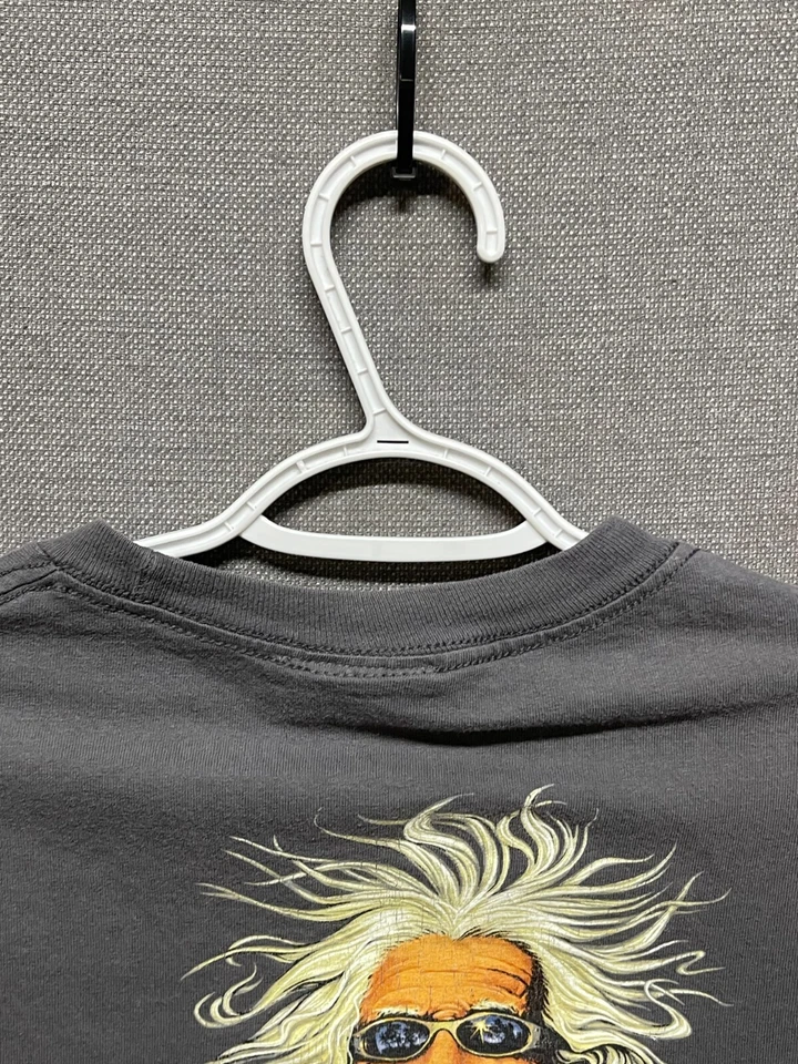 Camisa Rick Rietveld Albert Einstein Para Hombre Pequeña Gris Imaginación Estampado Gráfico Foto 4 de 4