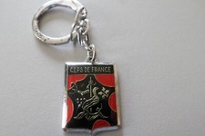 porte cle clef key-ring CEPS