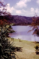 JULY 1974  Wailua River Kauai Hawaii Kodachrome Slide Ref U-C