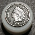1895 Indian Head Cent Penny Antique U.S.A. Wheat Cent Coin Avg Circ