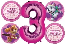 Skye and Everest 3rd Birthday Party Supplies Girl Paw Pups on Patrol Balloon ...