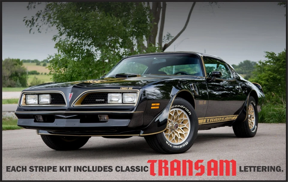 Kit de rayas laterales Trans Am - Hecho a medida Foto 2 de 4