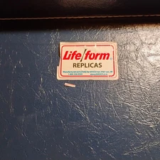 NASCO LifeForm TRACHEOSTOMY CARE SIMULATOR WITH CASE USED FREE SHIPPING 