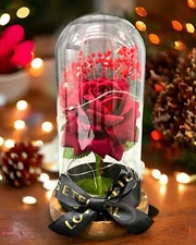 SINT Preserved Rose Gifts for Women Forever Real Rose in Glass Dome Rose Flow...