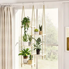 Bamworld Hanging Shelves Plant Hanger Indoor Window Plant Shelves Wood Plant ...