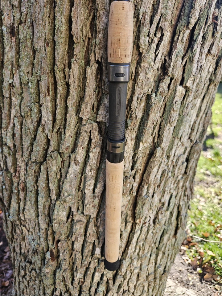 Caña de pescar giratoria en tierra St. Croix Avid VIS66MHF Foto 3 de 4