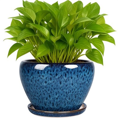 6 Inch Plant Pots- Ceramic Planter Pot with Drainage Hole and Saucer, round Flow
