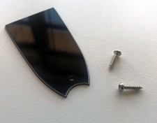 Vintage 2 screw non-logo truss rod cover for 60s Epiphone guitars 3-ply