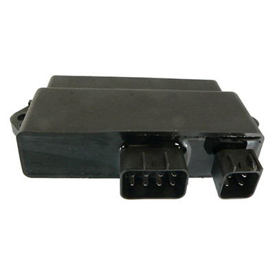 Wild Boar High Performance CDI IYA6035