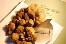 tartufo bianco fresco Tuber Magnatum Pico. 100 grammi prima scelta.