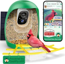 Smart Bird Feeder with Camera AI ldentify 11000+ Bird, Solar Powered, Wireless