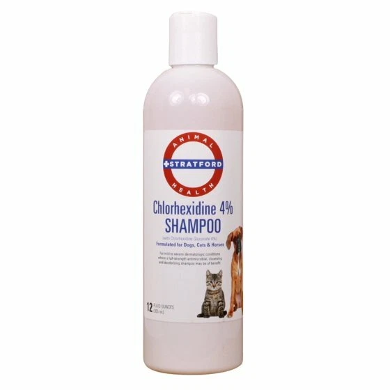 Chlorhexidine shampoo hotsell for cats