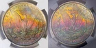 1885-O NGC MS63 CAC MORGAN $ NICE COLORFUL TONED RAINBOW (VIDEO)