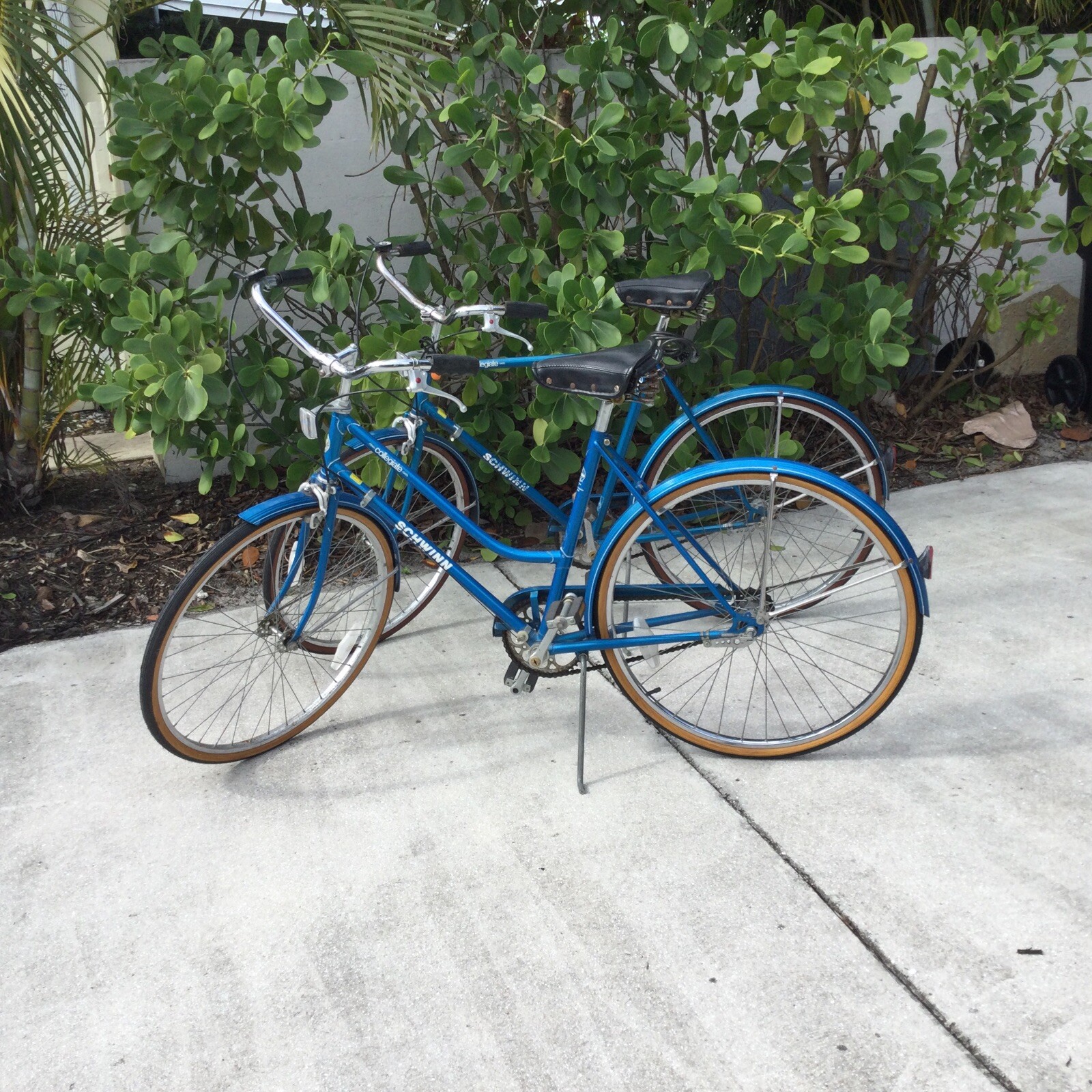 Schwinn Collegiate Bicycle Blue His and Hers