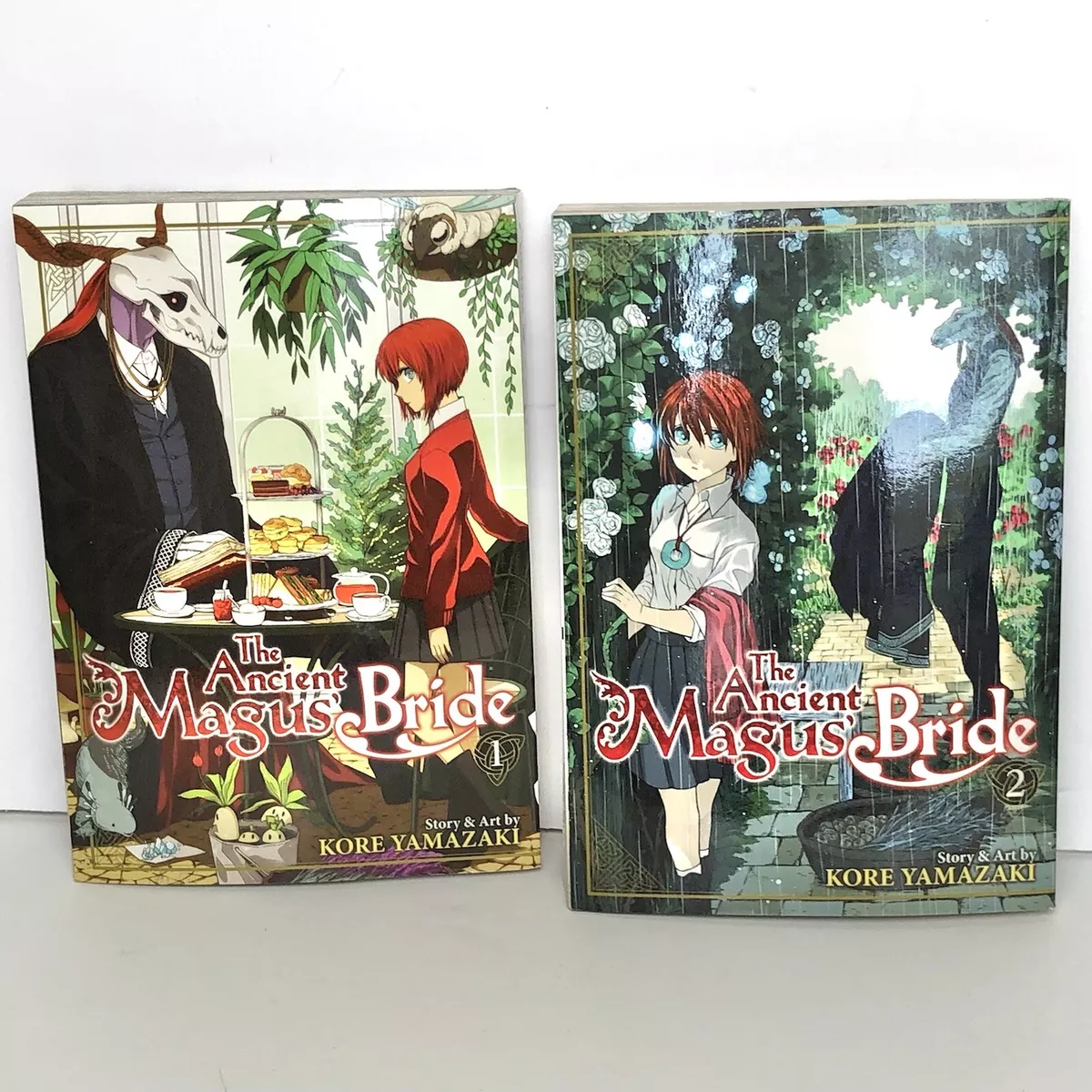 The Ancient Magus' Bride Vol. 2