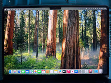 Original 15.3" MacBook Air A3114 M3 EMC 8612 Conjunto Pantalla LCD 2024 Gris