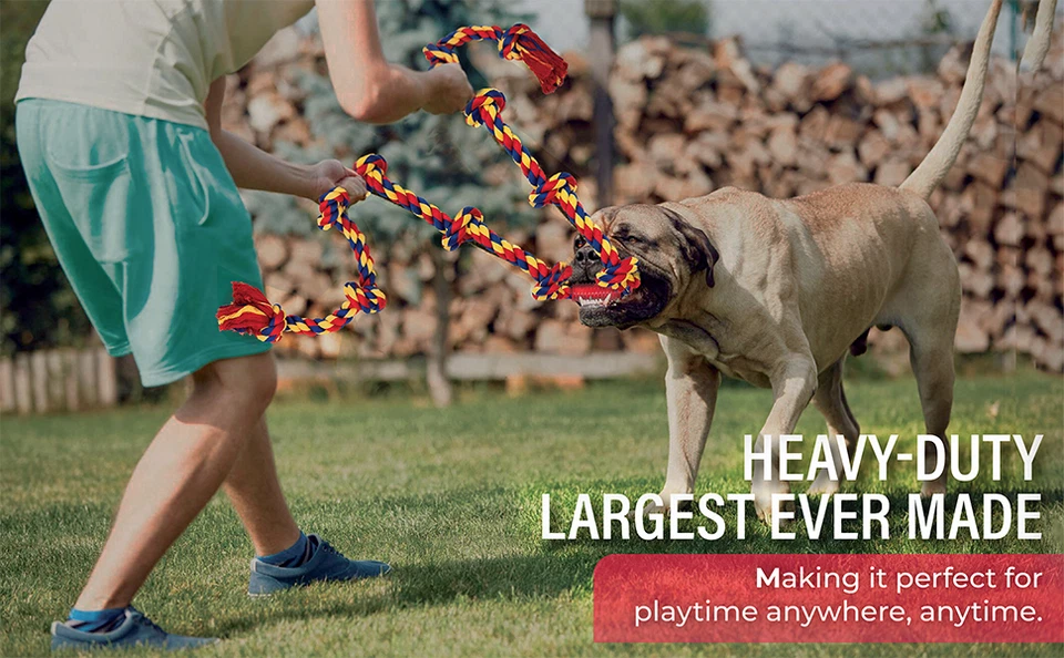 48" Interactive Dog Toy , Burn Energy & Improve Behavior - Image 2 of 4