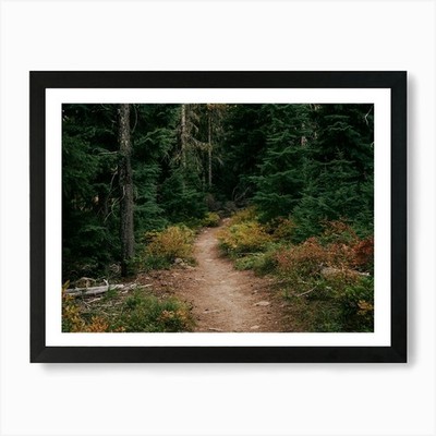Frühherbst Kunstdruck gerahmt Wandbild Poster Leinwanddruck Bild