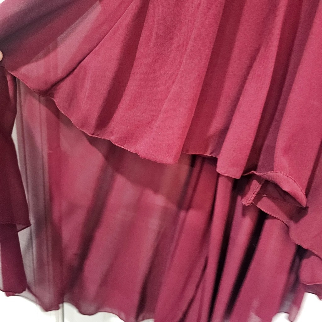 Weissman Burgundy Dance Costume - image 6