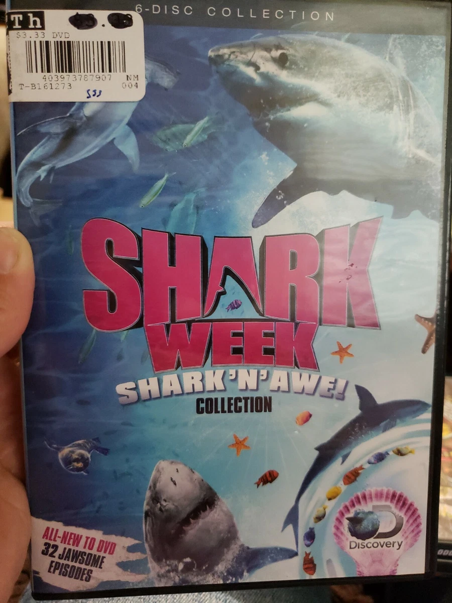 Have a jawsome time with the best shark games