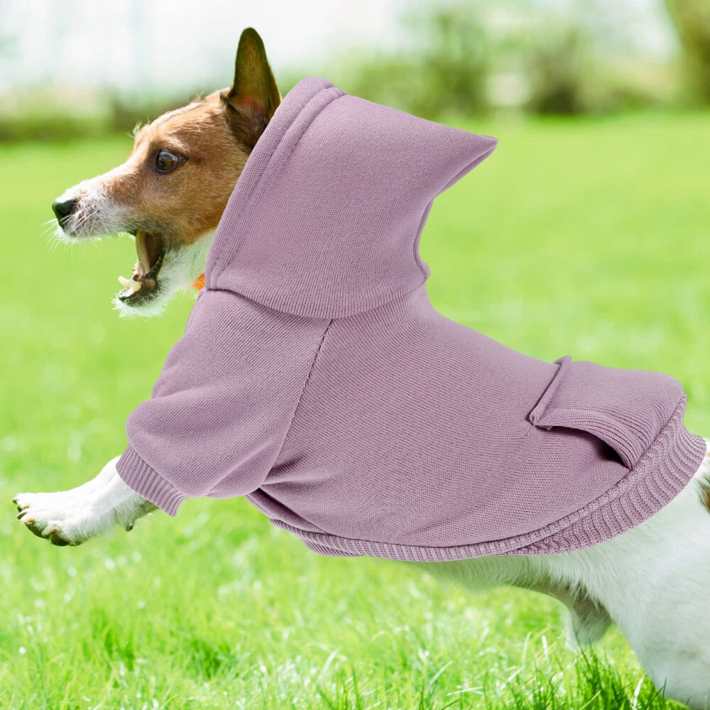 VETEMENTS Felpa con cappuccio cane cucciolo di cotone 3 pezzi vestiti caldi calda