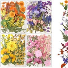 80Pcs Pressed Flowers,Dried Flowers Natural Pressed Flowers Bulk for Resin Molds