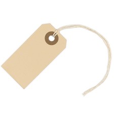 100 Small Manila Paper Tags with String - 1, 2 3/4 x 1 3/8 - Hang