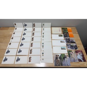 52 Vintage Post A Note Small Postcards Dogs Cats Tigers Unused