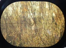 Redfield Wide Field 6x Fine Std Crosshair Reticle 1" All Steel Tube Rifle Scope