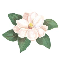 White Magnolia 25 Beautiful Floral Wallies Flower Wall Decals Stickers Border 