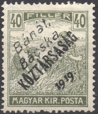HUNGARY Banat Bacska 1919 - MLH* 40 fi.   #S#UN1