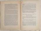 Foto 2 di 2