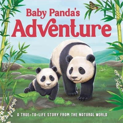 Baby Panda's Adventure, Autumn Publishing