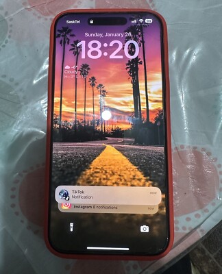 iPhone 15 Pro Max 256GB (Tik Tok installed)