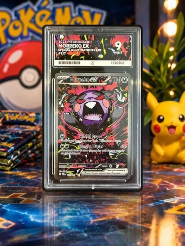 Pokémon Morpeko ex 117/084 Pitch Black Special Illustration Rare ACE 9 MINT