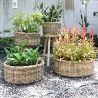 Natur Rattankorb Norderney Kubu Grey Ca.40Cm Pflanzkorb Griffe ÜBertopf Korb