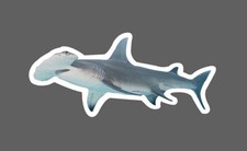 Hammerhead Shark Sticker Animal Ocean Beach Wildlife Gift Waterproof NEW