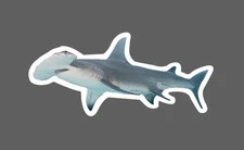 Hammerhead Shark Sticker Animal Ocean Beach Wildlife Gift Waterproof NEW