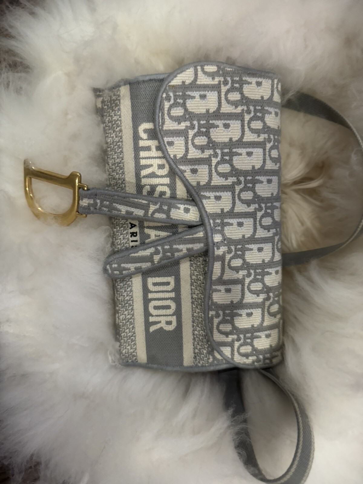 Christian Dior Saddle Slim Belt Pouch Logo Embroidere… Gem