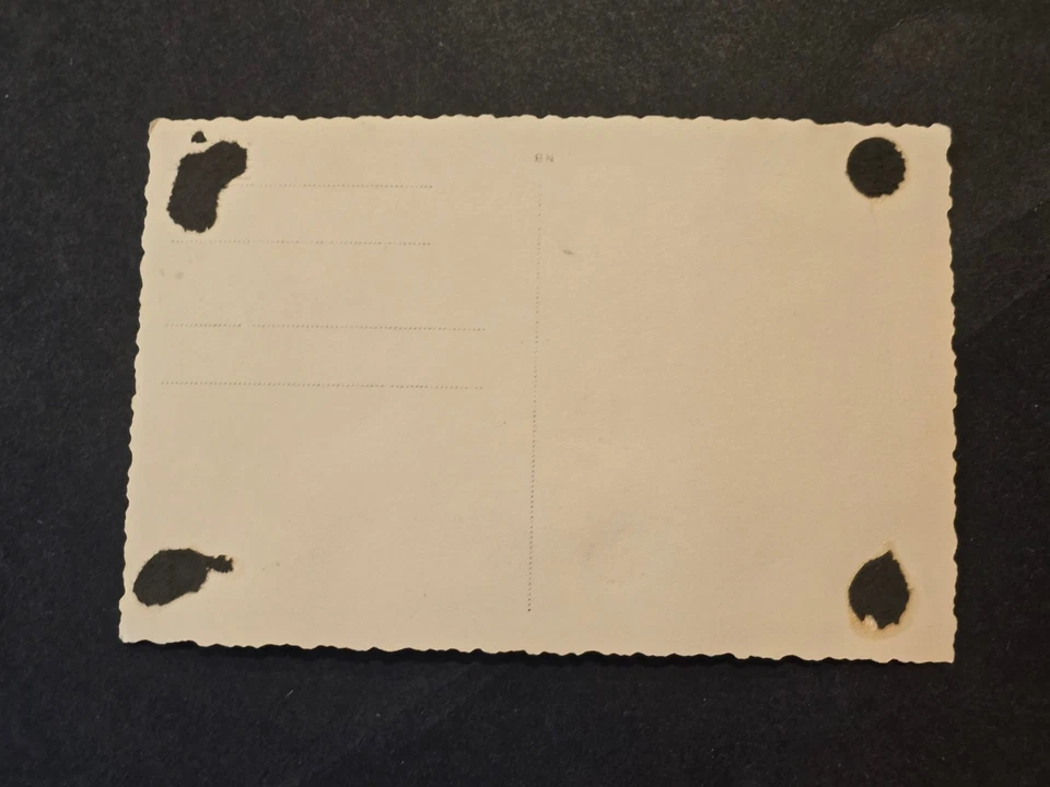 WWII German Soldiers RAD Group Photo Postcard White Fatigues Winter Training - Image 2 of 2