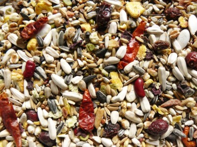 Papageienfutter PREMIUM 10kg Vogelfutter Samenmischung Premiumfutter Papagei Ara