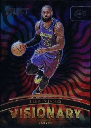 2024-25 Panini Select #8 LeBron James Hot Stars | eBay