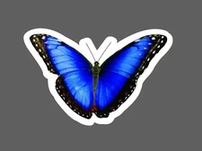 Butterfly Sticker Realistic Blue Waterproof Animal Outdoor Wildlife Gift NEW