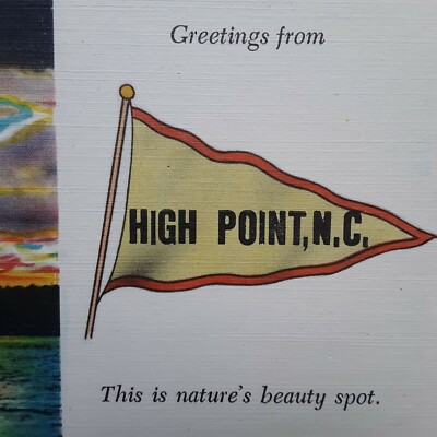 Greetings from High Point, NC This Is Nature's Beauty Spot. Pennant Postcard. 