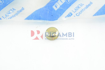 #ad FIAT Brava Croma Marea Lancia Delta Engine Cover Cap Closure 14328101 $5.75