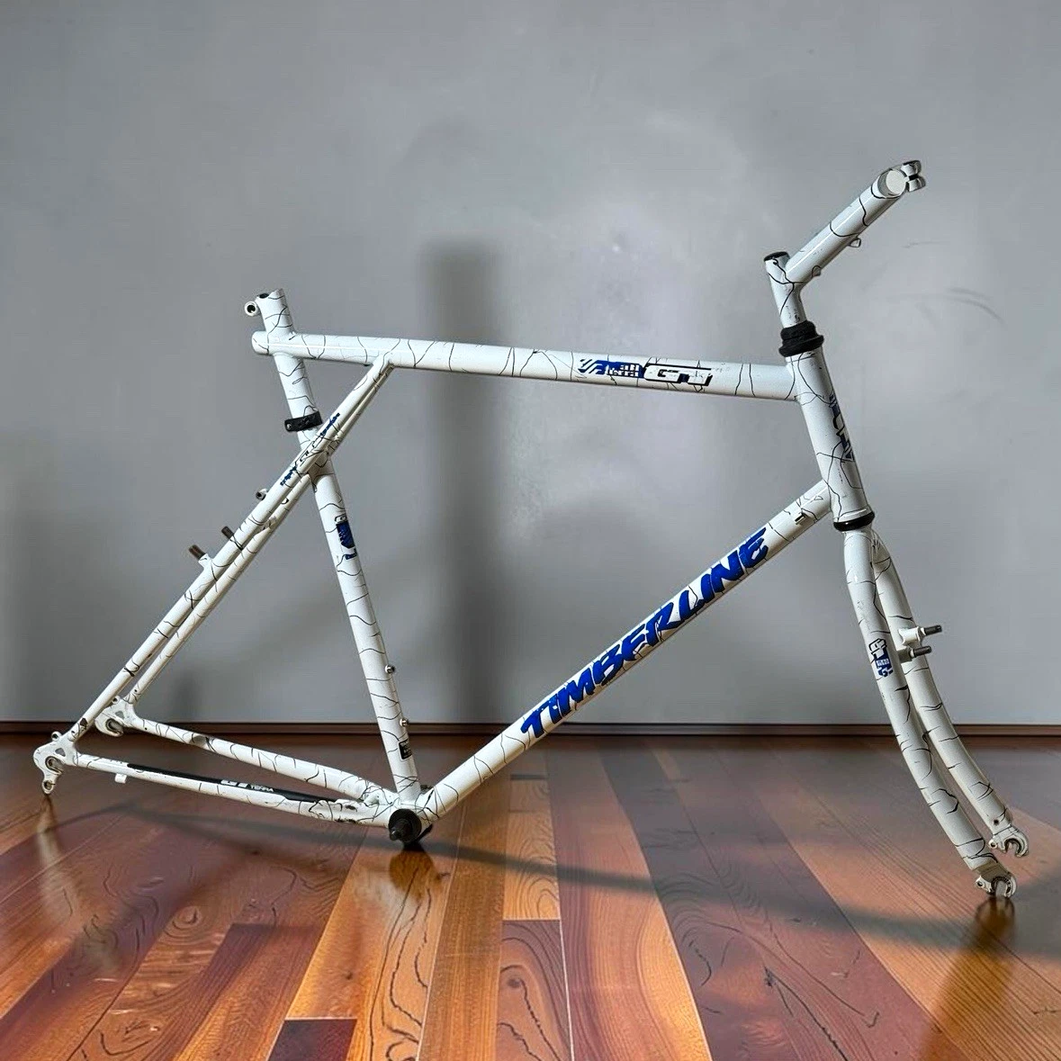 GT Steel Frame and Fork Bike Frames for sale | eBay
