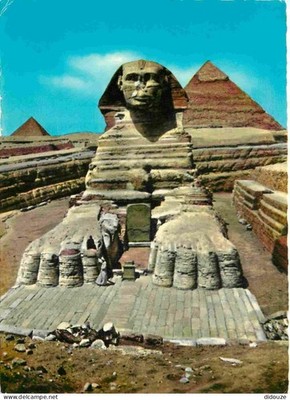 Postcard - Egypt - Giza - The Great Sphinx of Giza - CPM - See Scans Straight