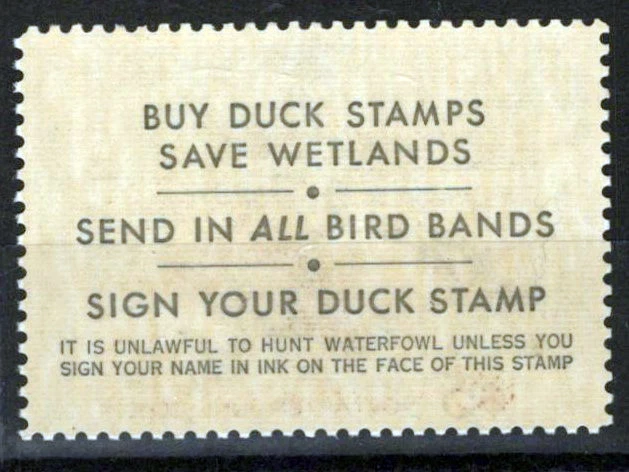 US RW40 MNH VF $5 Steller's Elders Duck Revenue Zayix Stamps 0225MAR0058 - Image 2 of 2