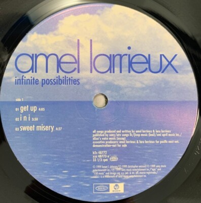 Amel Larrieux / Infinite Possibilities 12