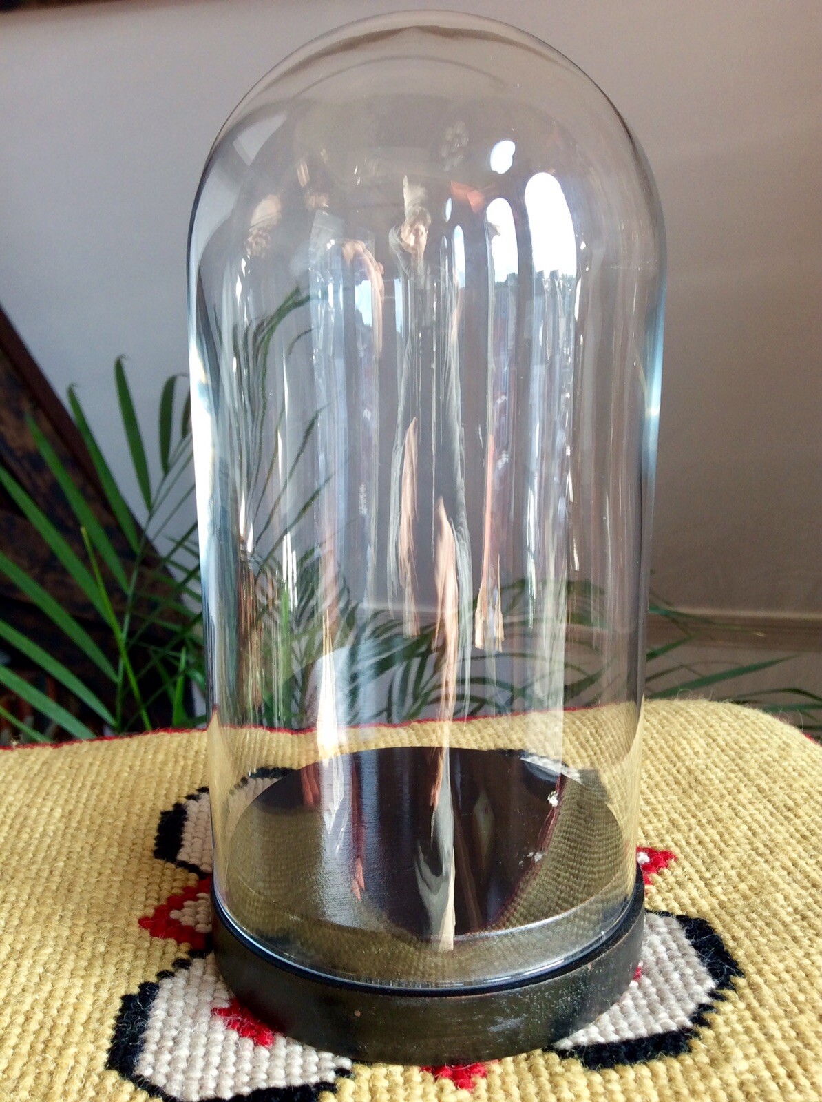 Vintage Glass Cloche Bell Jar Dome,Wood Base,Old Antiques Curios
